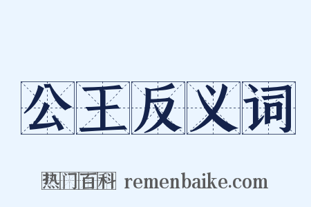 公王反义词是什么意思的图片